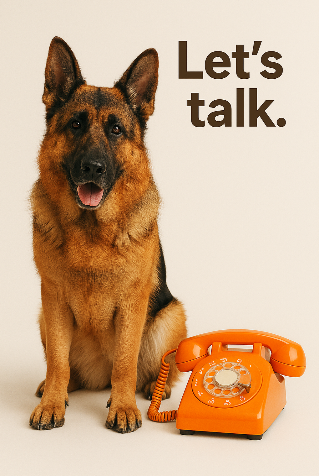 Veterinary Care