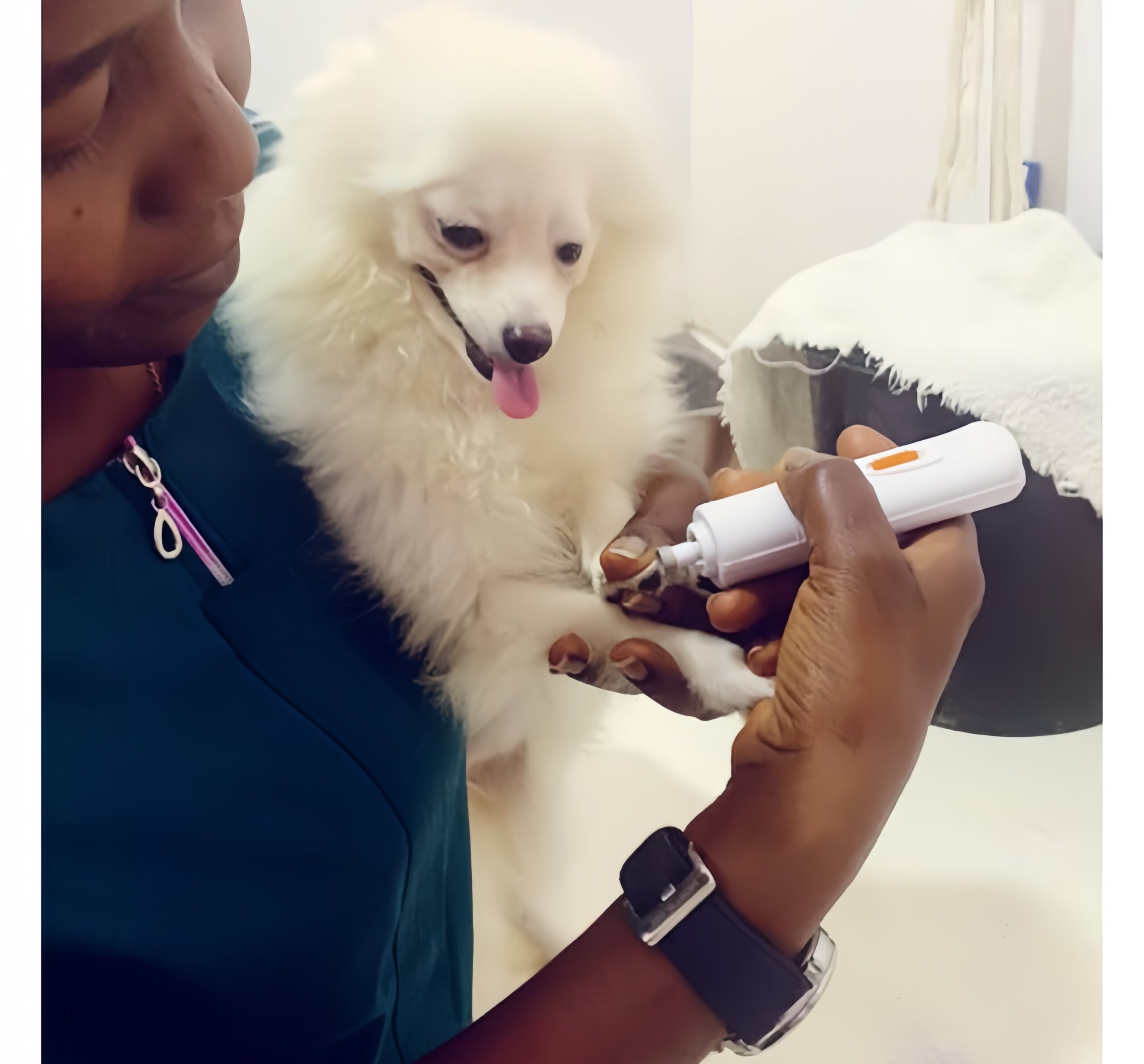 Pet Grooming