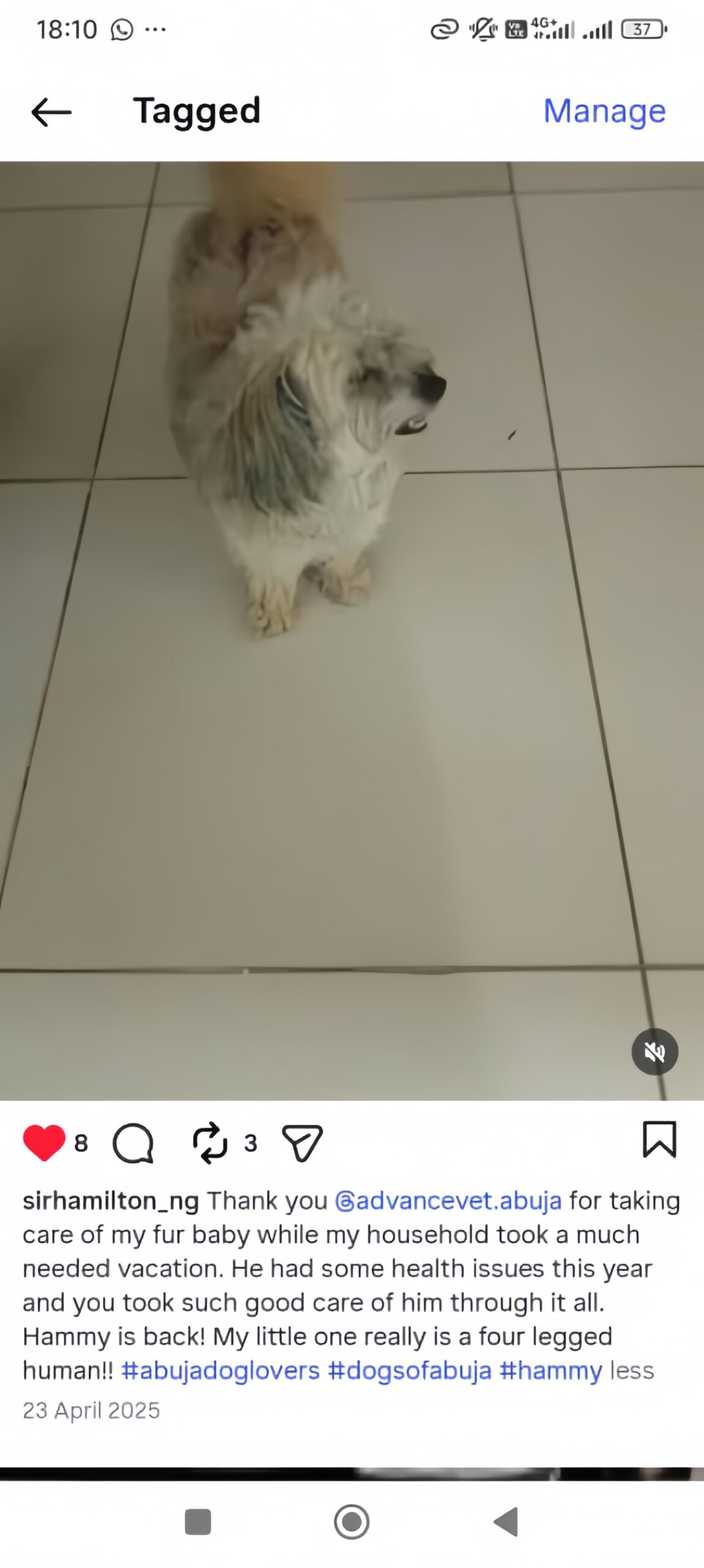 Client Testimonial